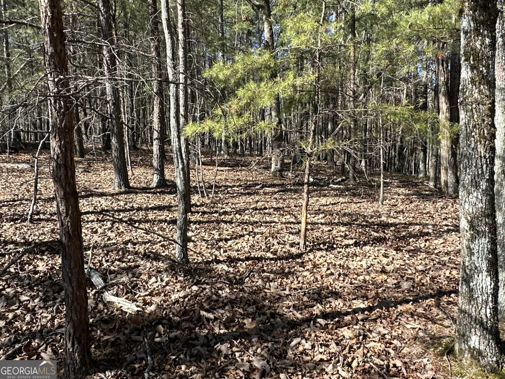 3472 Prior Station RD Cedartown, GA 30125