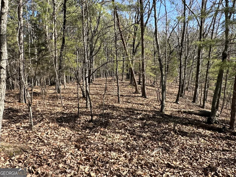 3472 Prior Station RD Cedartown, GA 30125