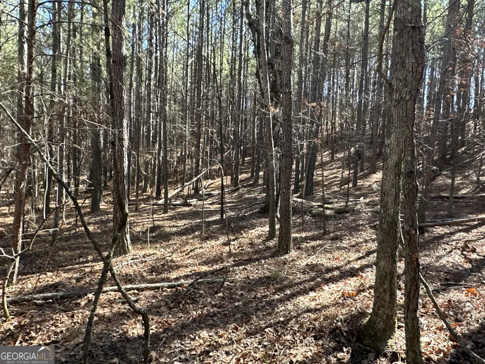 3472 Prior Station RD Cedartown, GA 30125