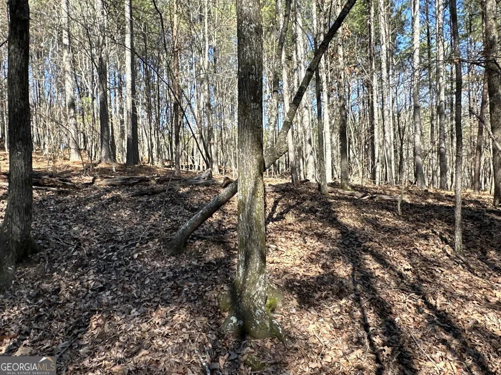 3472 Prior Station RD Cedartown, GA 30125