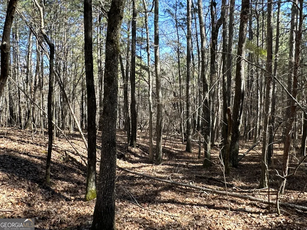 3472 Prior Station RD Cedartown, GA 30125