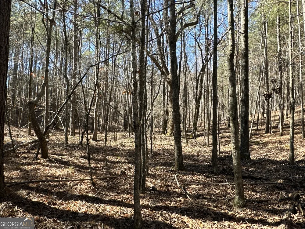 3472 Prior Station RD Cedartown, GA 30125