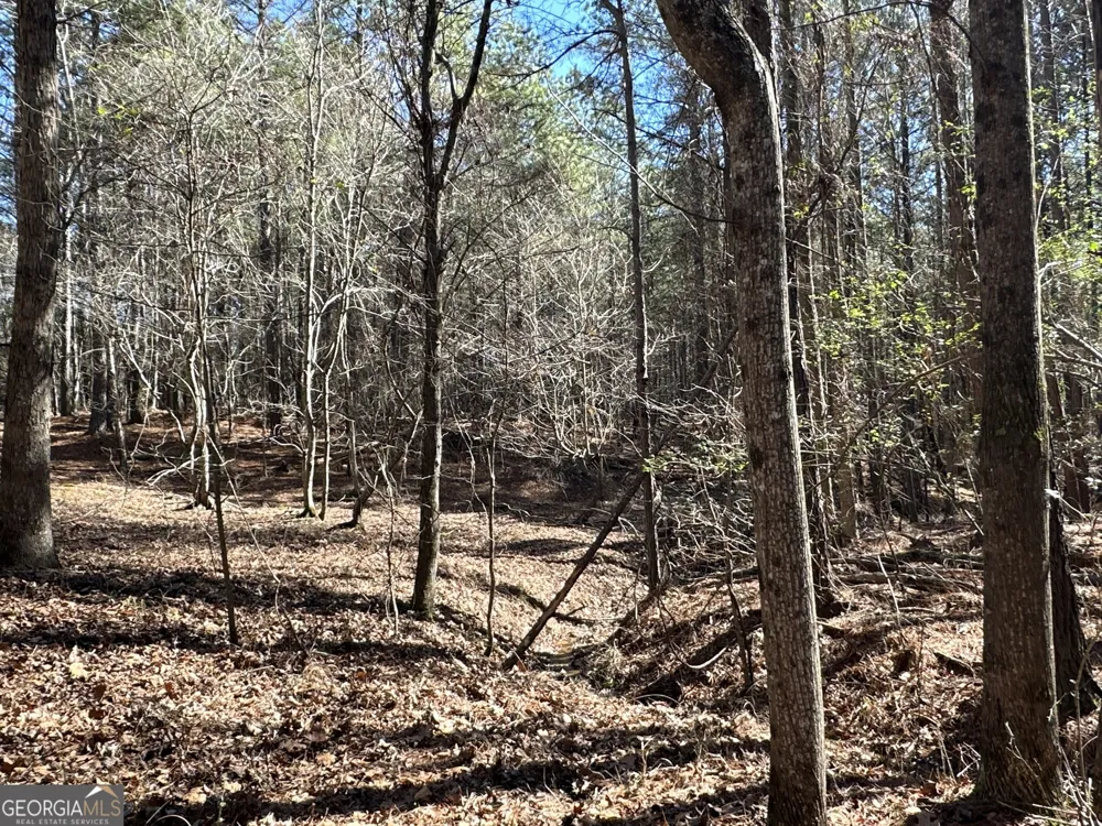3472 Prior Station RD Cedartown, GA 30125