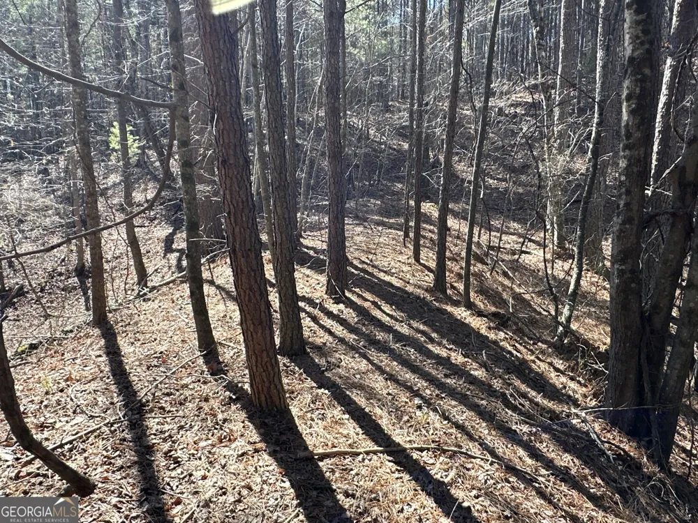 3472 Prior Station RD Cedartown, GA 30125
