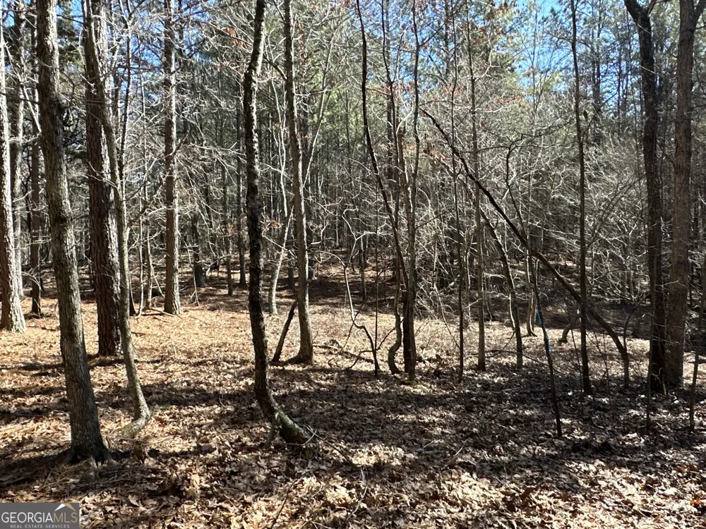 3472 Prior Station RD Cedartown, GA 30125