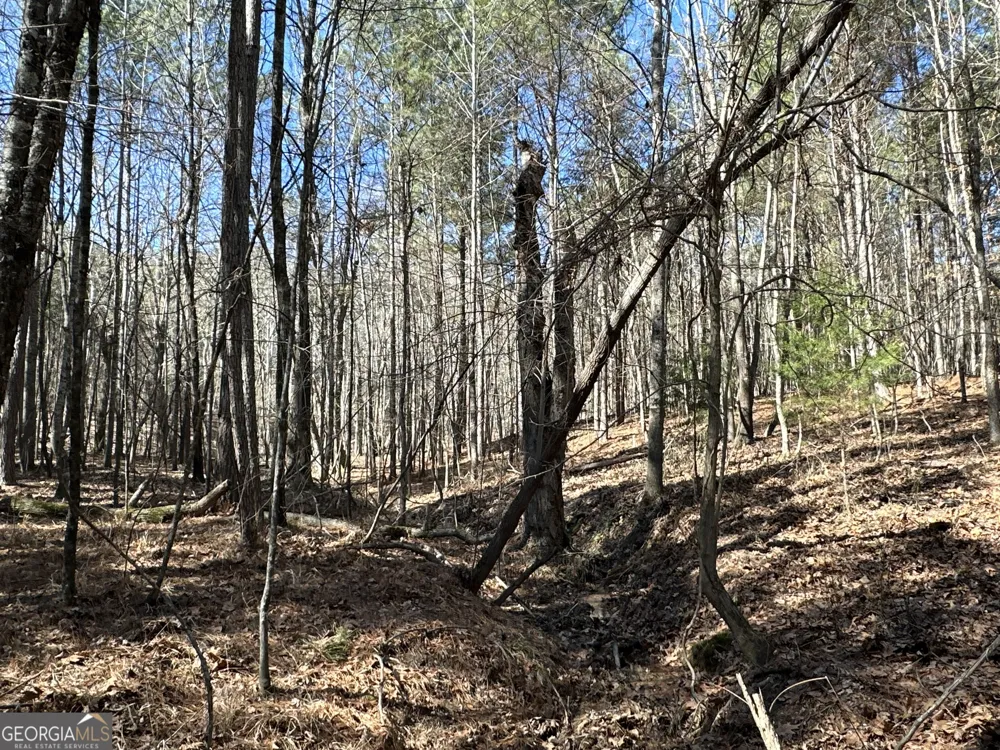 3472 Prior Station RD Cedartown, GA 30125