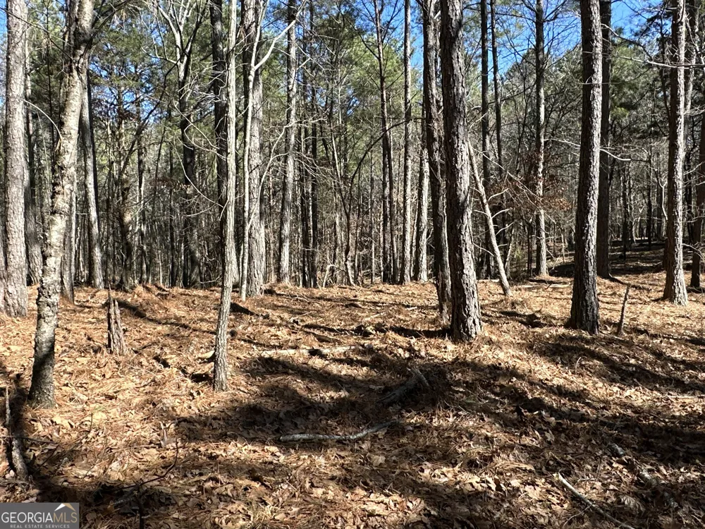 3472 Prior Station RD Cedartown, GA 30125