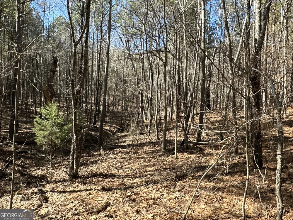 3472 Prior Station RD Cedartown, GA 30125