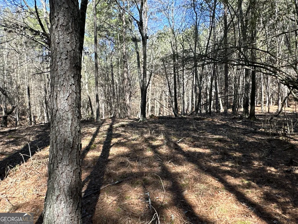 3472 Prior Station RD Cedartown, GA 30125