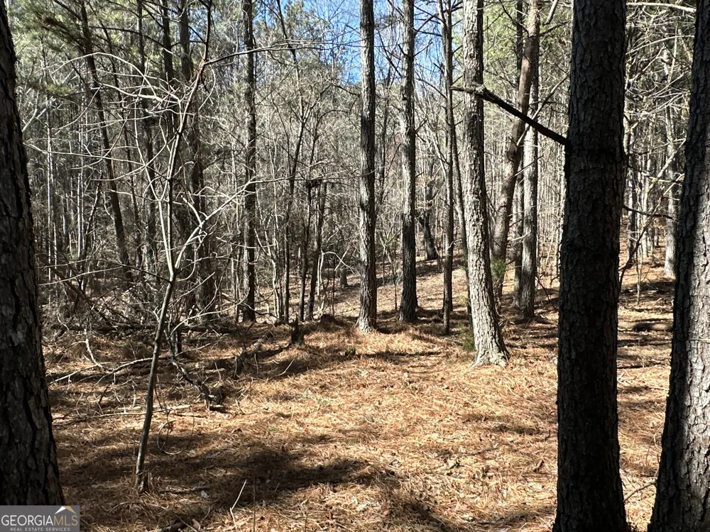 3472 Prior Station RD Cedartown, GA 30125