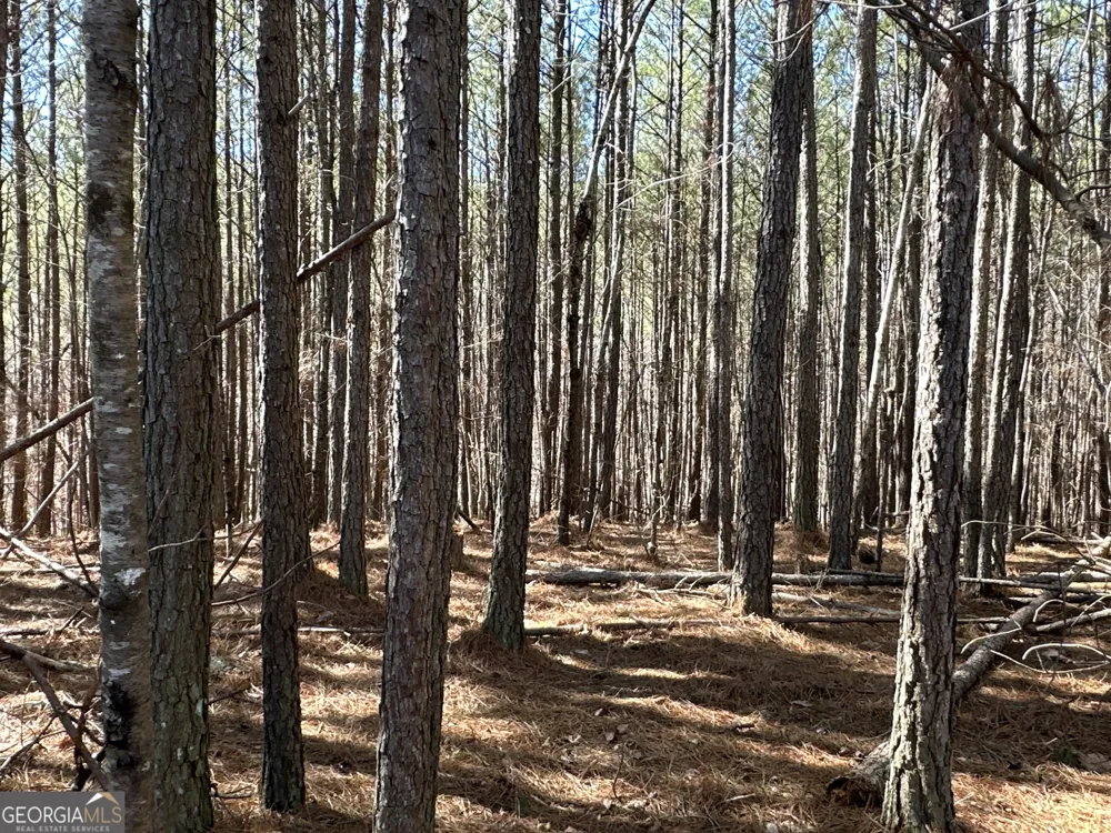 3472 Prior Station RD Cedartown, GA 30125
