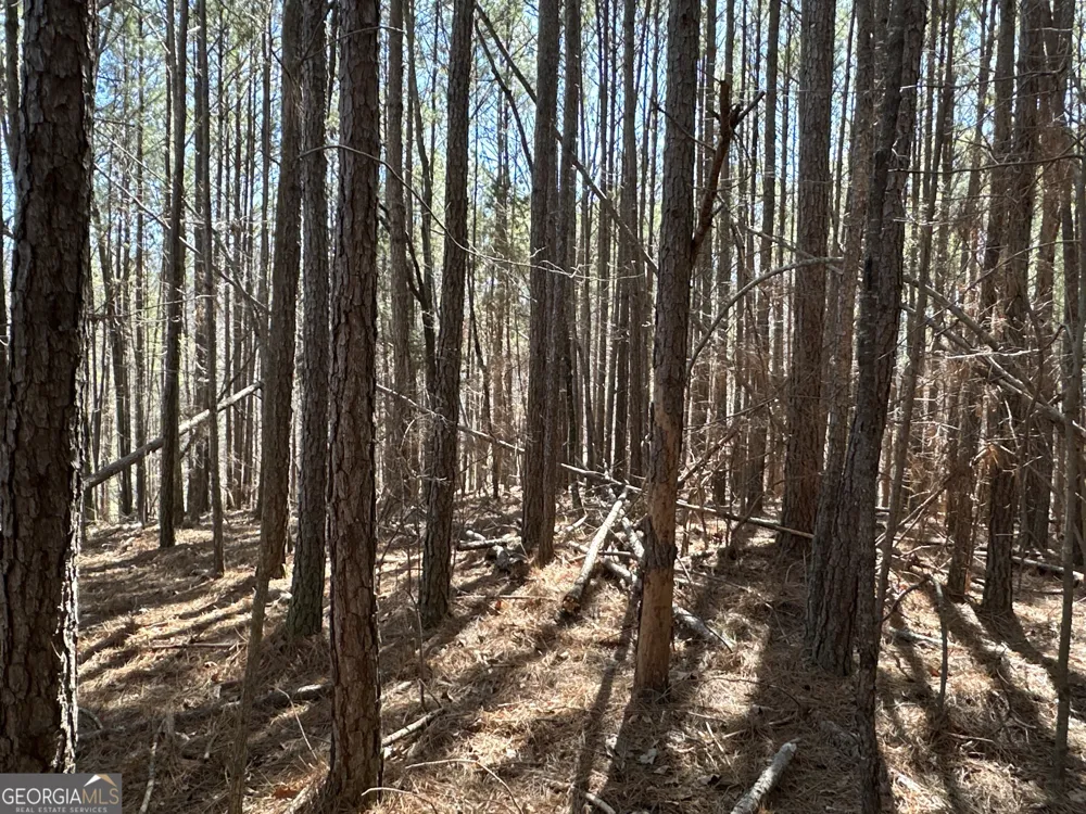 3472 Prior Station RD Cedartown, GA 30125