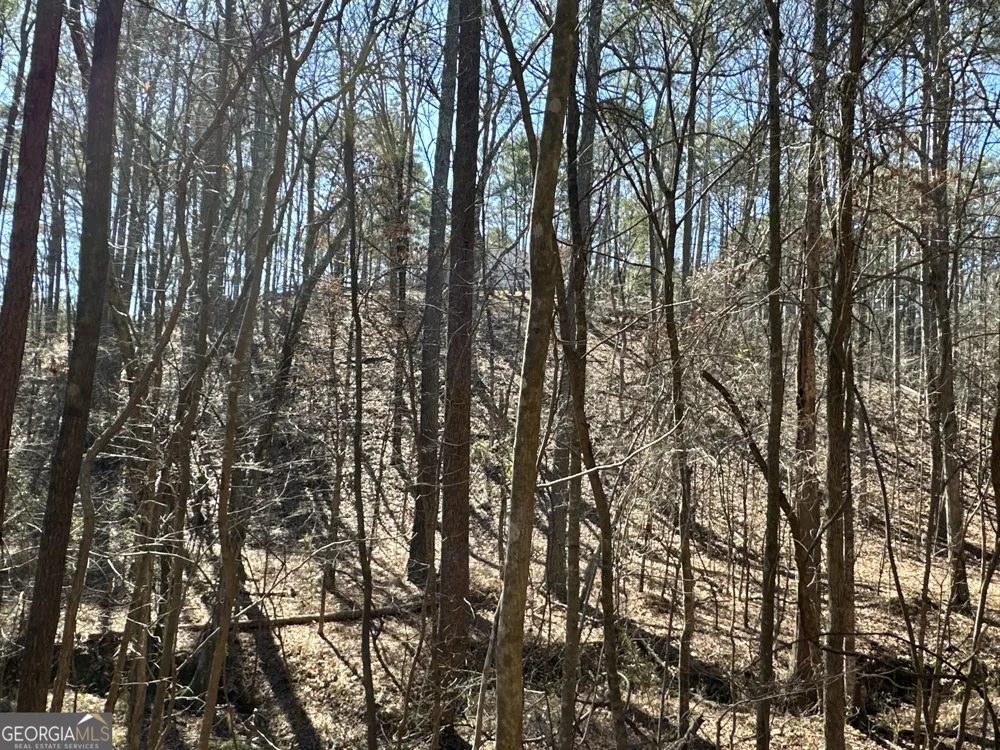 3472 Prior Station RD Cedartown, GA 30125