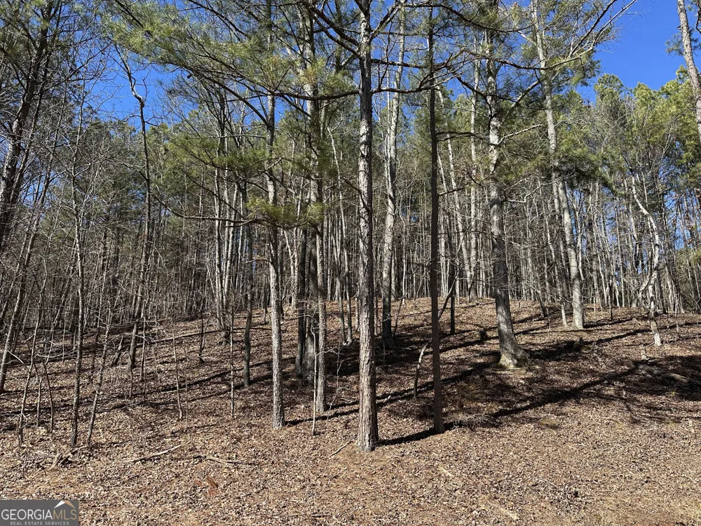 3472 Prior Station RD Cedartown, GA 30125