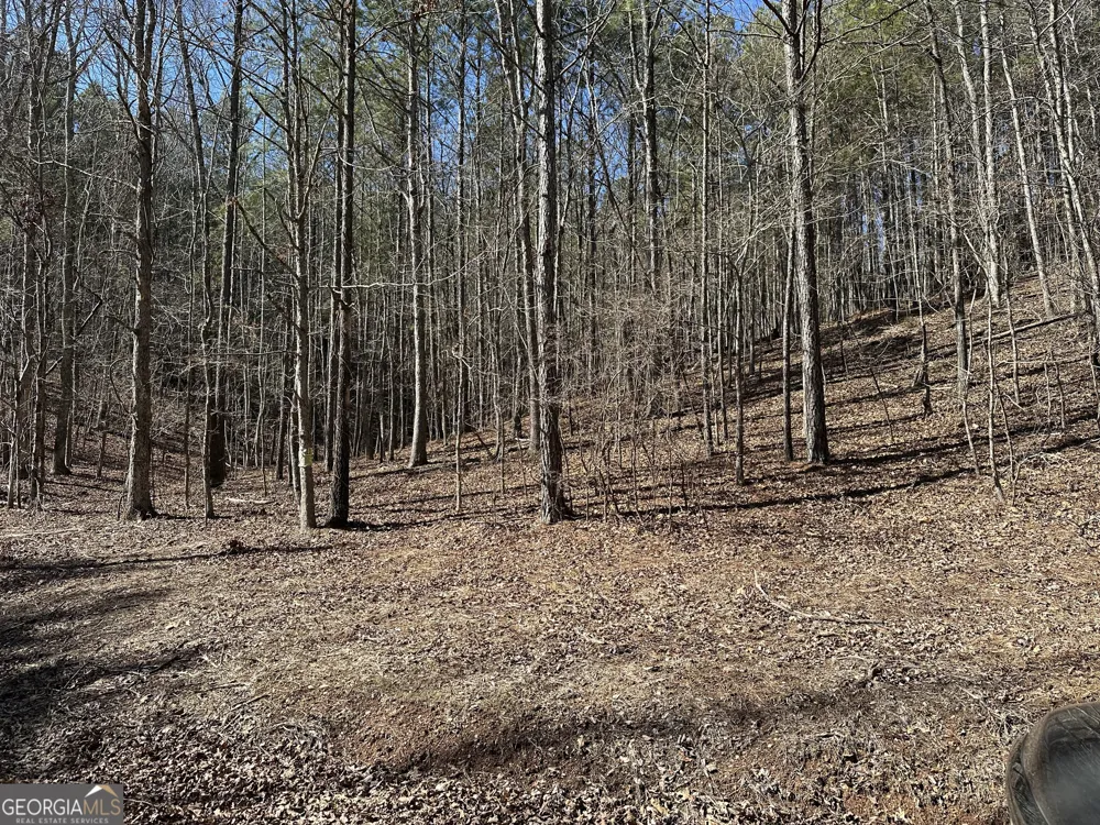 3472 Prior Station RD Cedartown, GA 30125