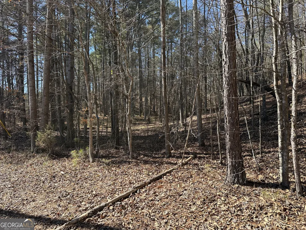 3472 Prior Station RD Cedartown, GA 30125