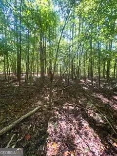 2607 Hughes RD Bowman, GA 30624