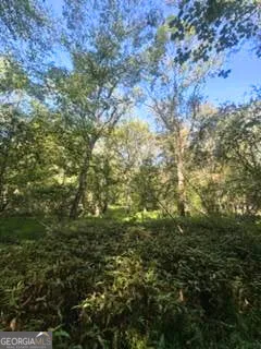 2607 Hughes RD Bowman, GA 30624