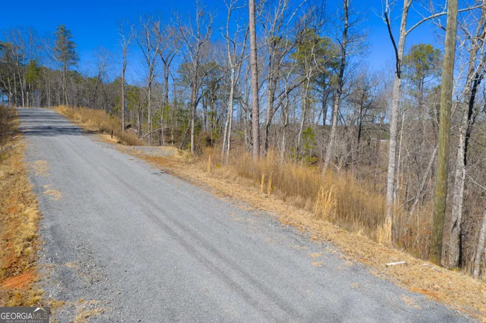 LOT 285 Anglers Ridge RD Talking Rock, GA 30175