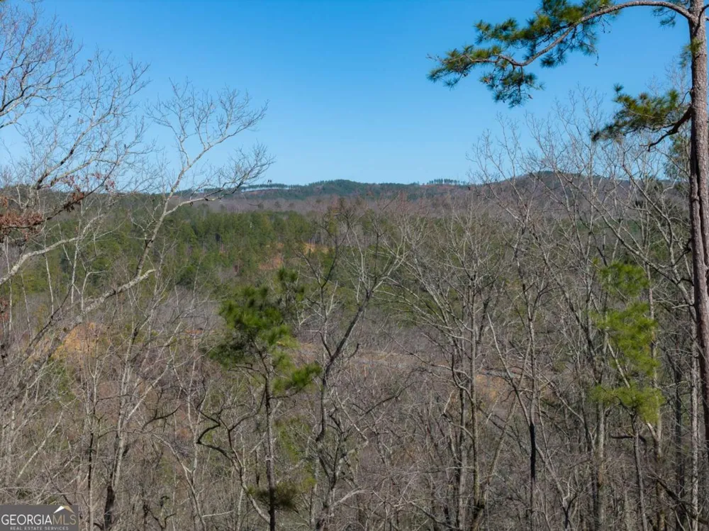LOT 285 Anglers Ridge RD Talking Rock, GA 30175
