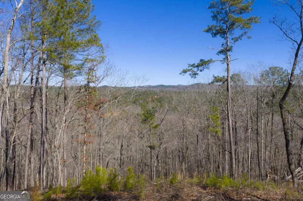 LOT 285 Anglers Ridge RD Talking Rock, GA 30175