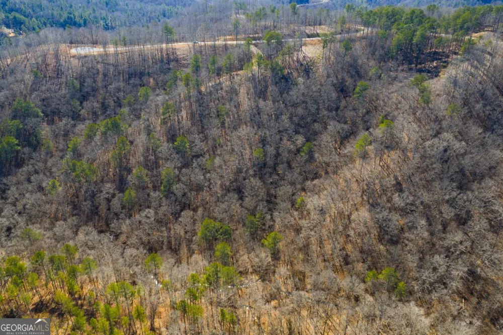 LOT 285 Anglers Ridge RD Talking Rock, GA 30175