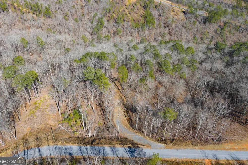 LOT 285 Anglers Ridge RD Talking Rock, GA 30175