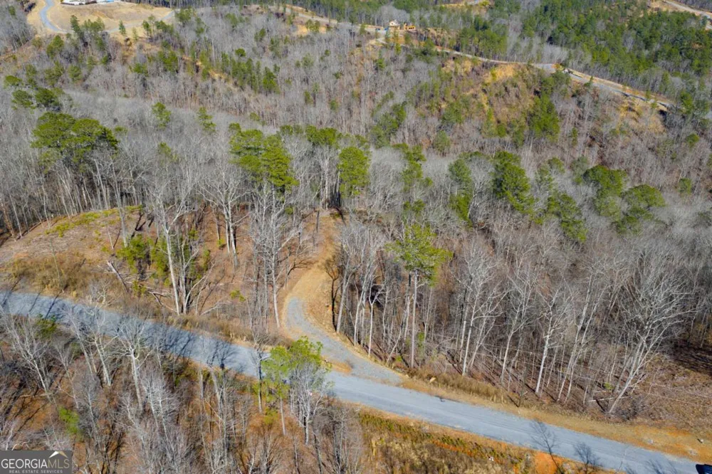 LOT 285 Anglers Ridge RD Talking Rock, GA 30175