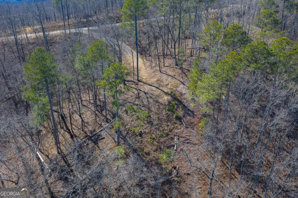LOT 285 Anglers Ridge RD Talking Rock, GA 30175