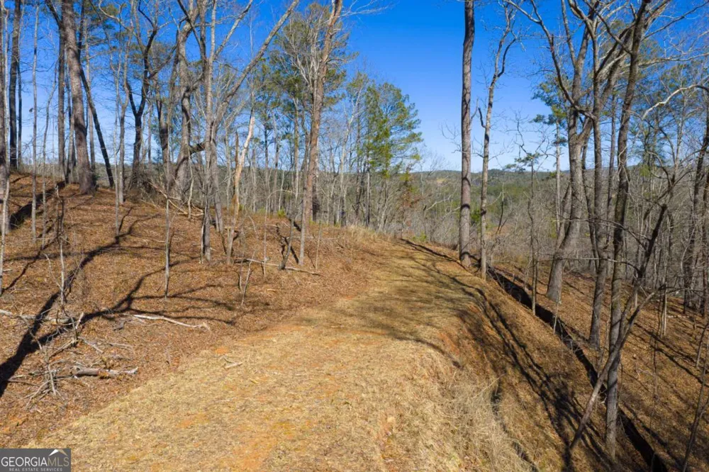 LOT 285 Anglers Ridge RD Talking Rock, GA 30175