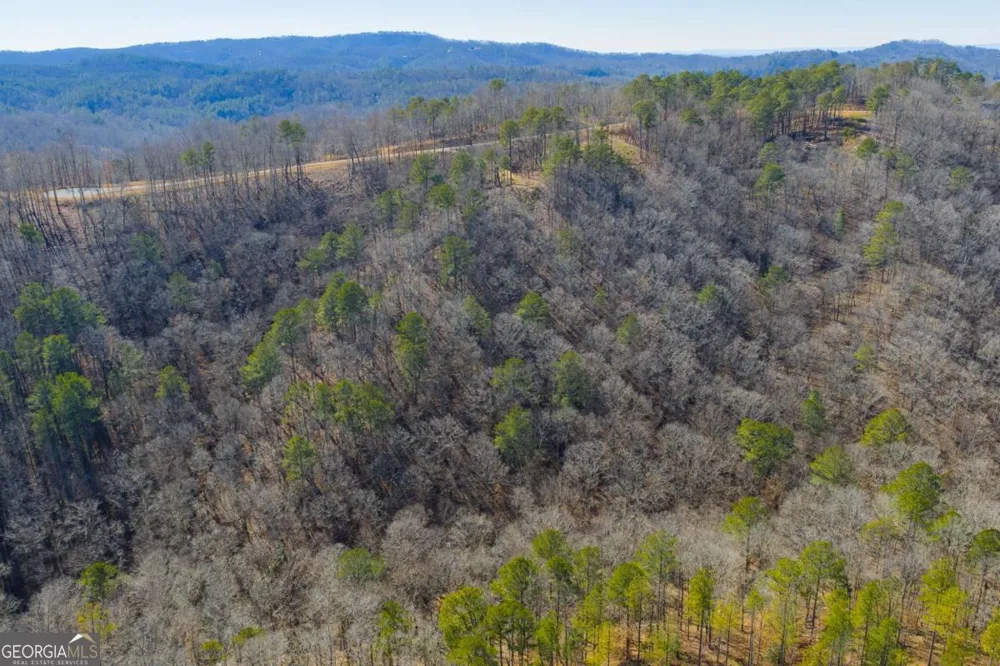 LOT 285 Anglers Ridge RD Talking Rock, GA 30175