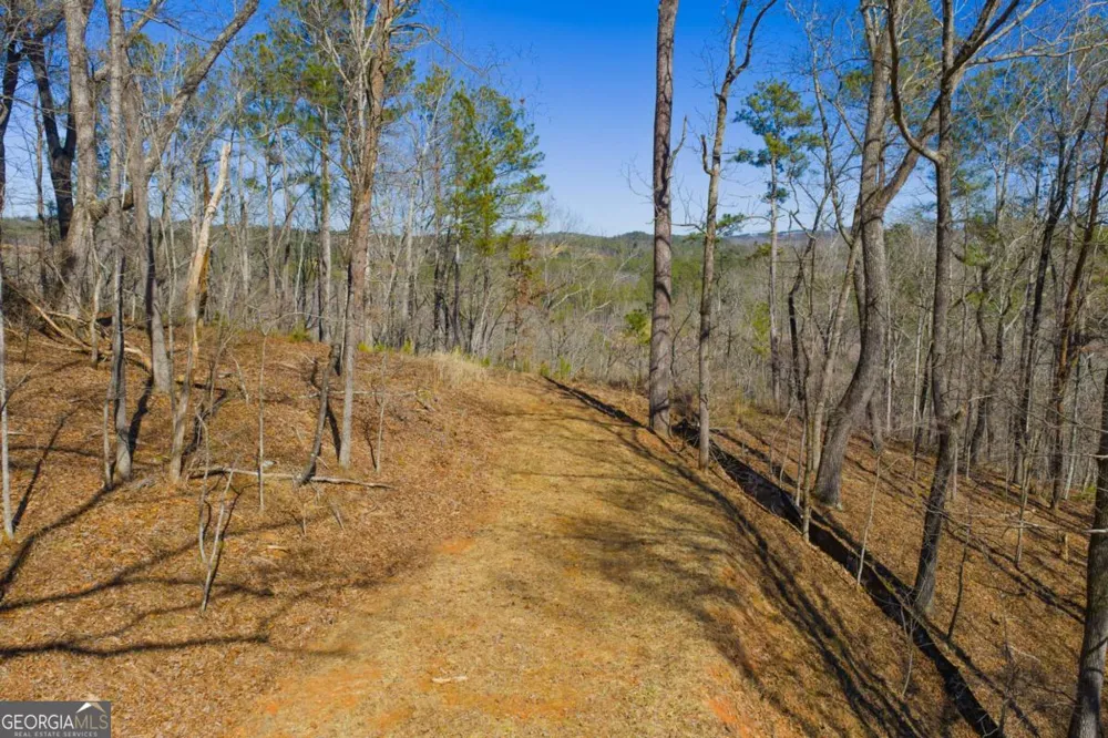 LOT 285 Anglers Ridge RD Talking Rock, GA 30175