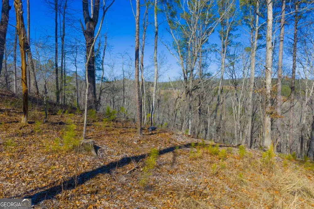 LOT 285 Anglers Ridge RD Talking Rock, GA 30175