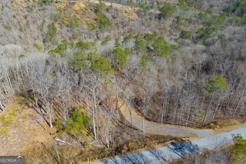 LOT 285 Anglers Ridge RD Talking Rock, GA 30175