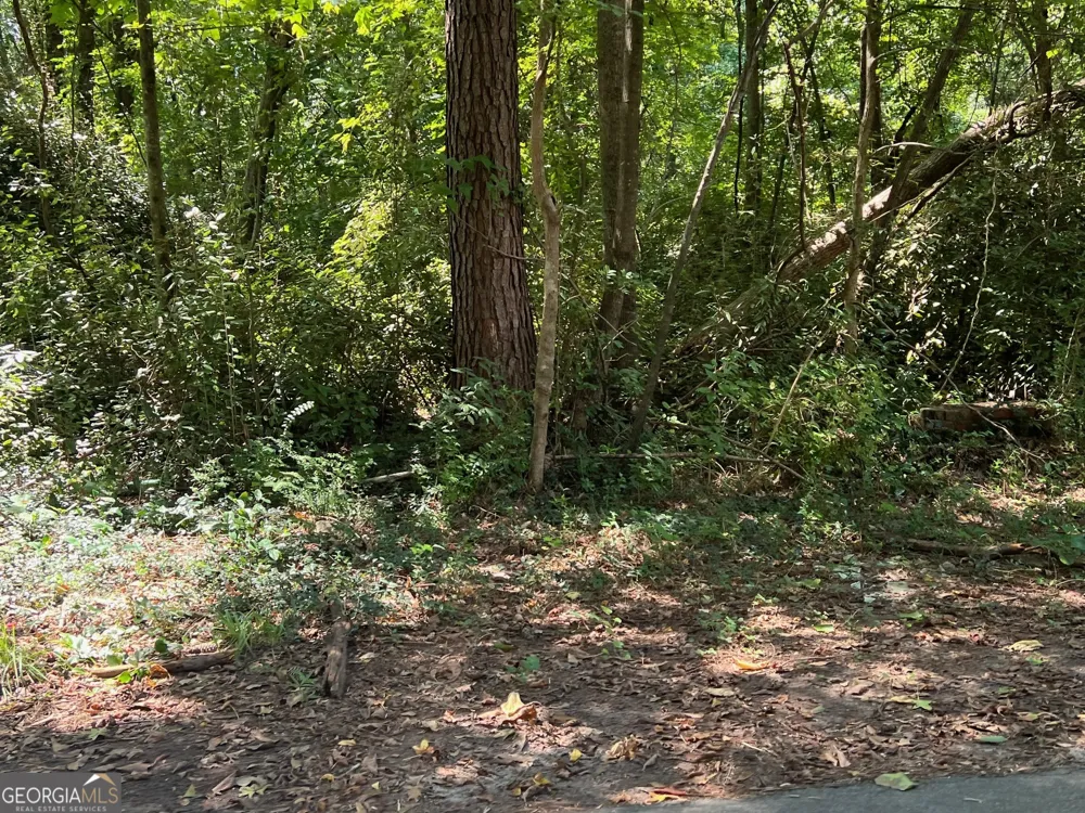 0 Tye Stockbridge, GA 30281