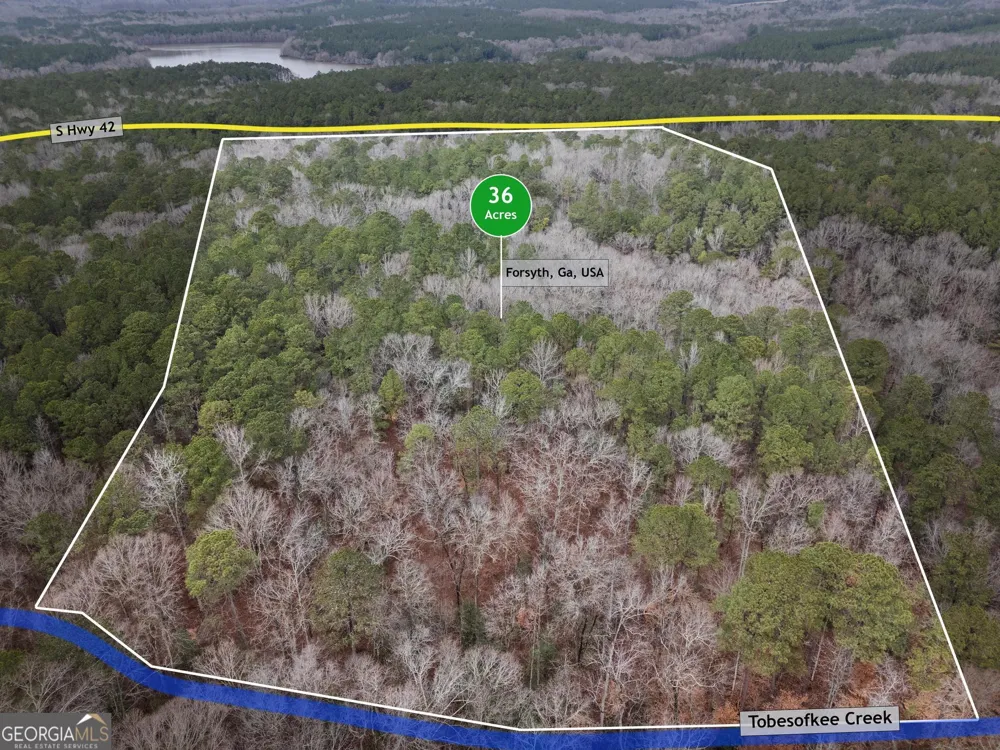 0 S 42 Hwy Forsyth, GA 31029
