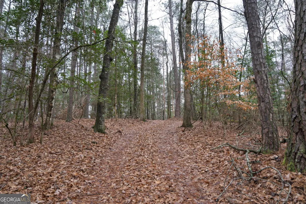 0 S 42 Hwy Forsyth, GA 31029