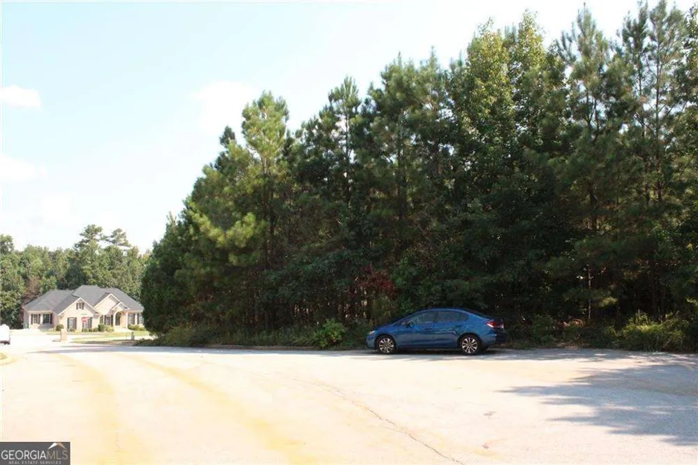 7732 Austin CT Winston, GA 30187