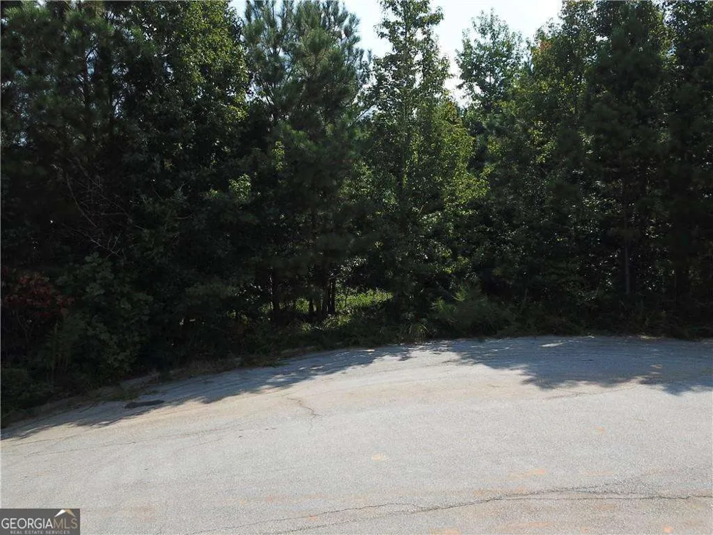 7732 Austin CT Winston, GA 30187