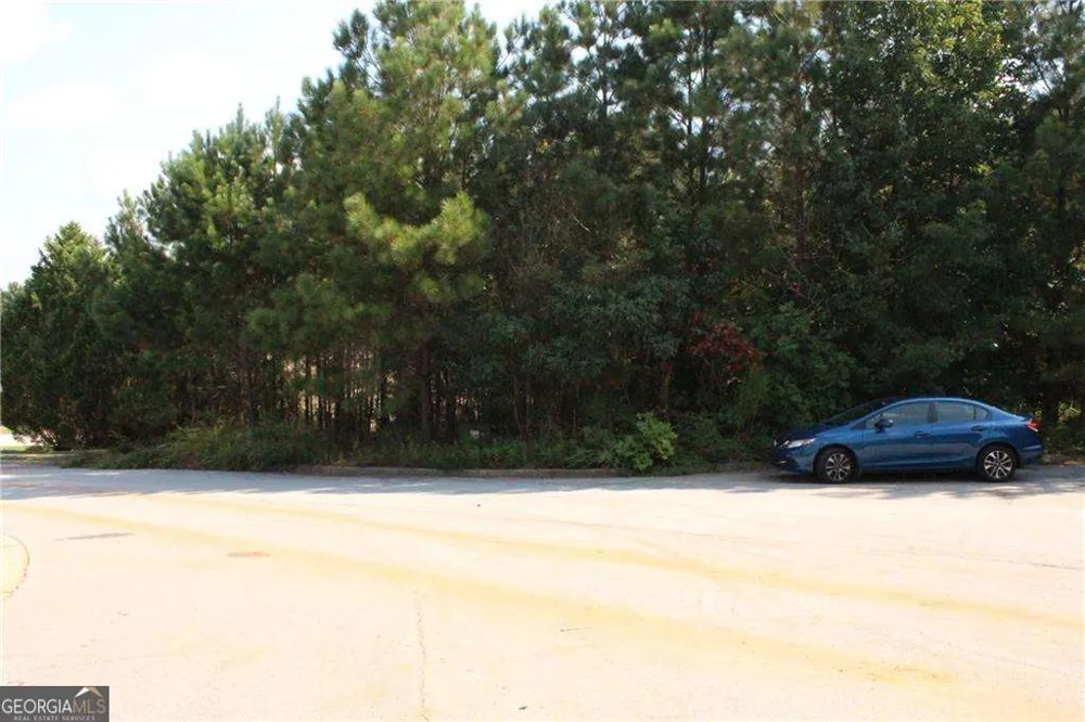 7732 Austin CT Winston, GA 30187
