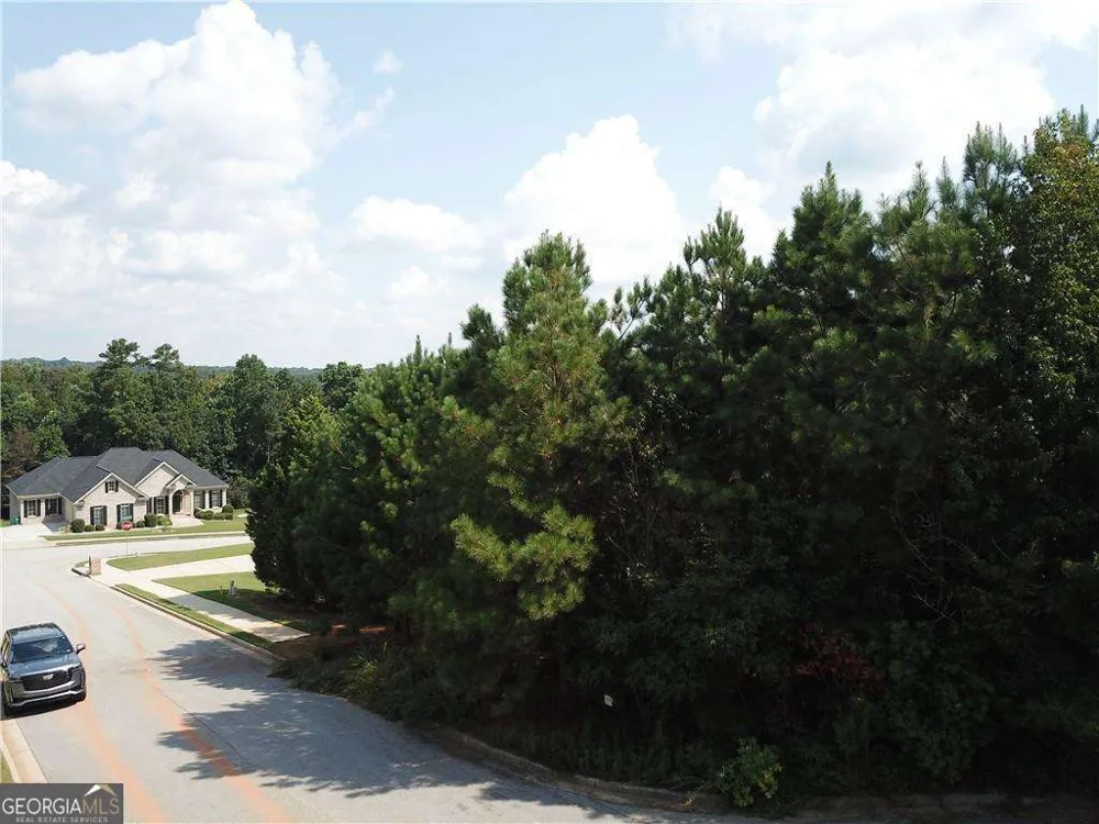 7732 Austin CT Winston, GA 30187