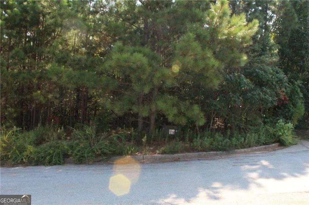 7732 Austin CT Winston, GA 30187