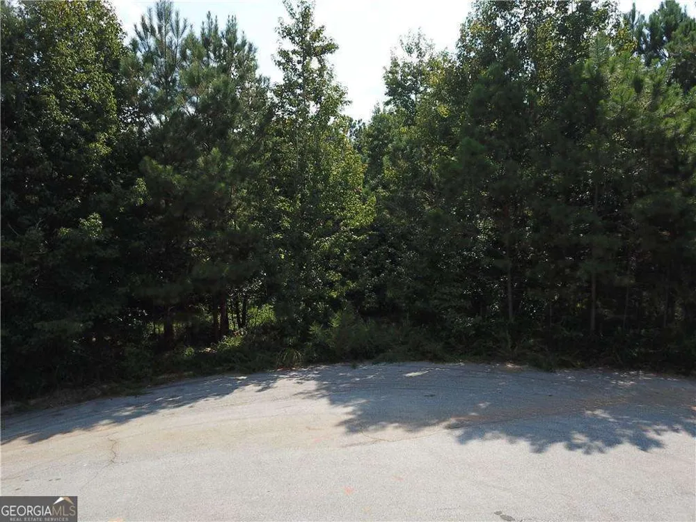 7732 Austin CT Winston, GA 30187