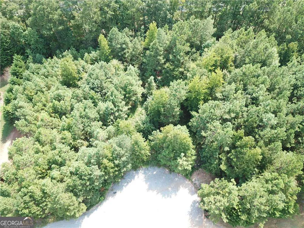 7732 Austin CT Winston, GA 30187
