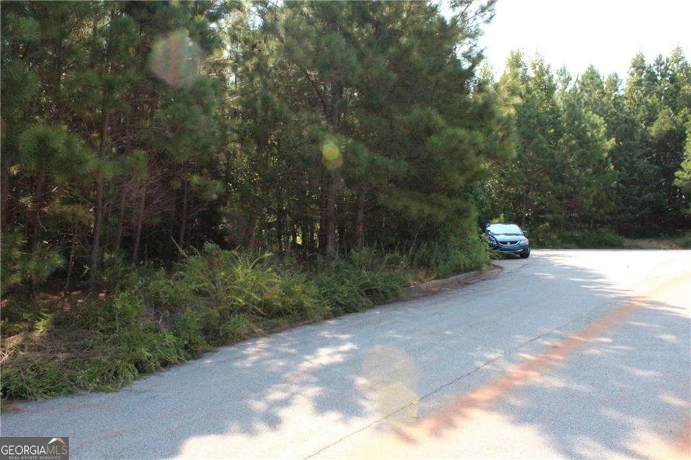 7732 Austin CT Winston, GA 30187