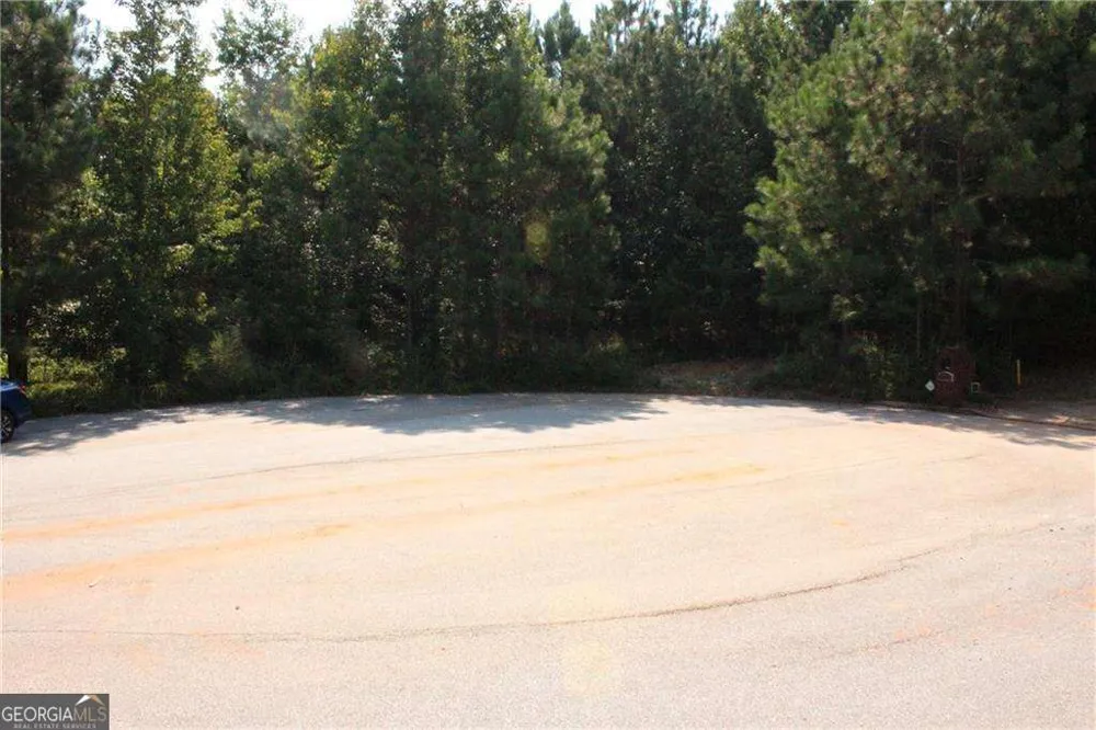 7732 Austin CT Winston, GA 30187