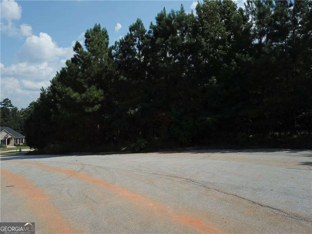 7732 Austin CT Winston, GA 30187