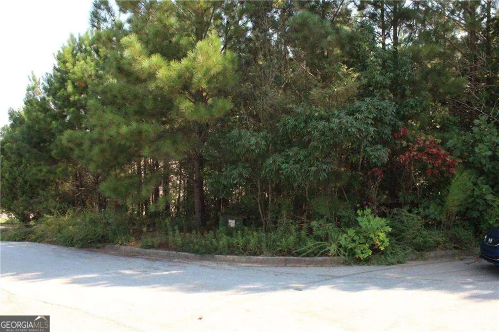 7732 Austin CT Winston, GA 30187