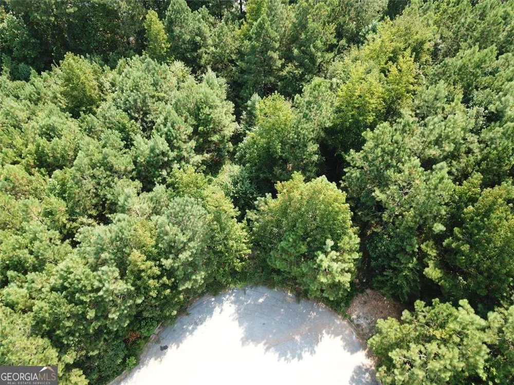 7722 Austin CT Winston, GA 30187