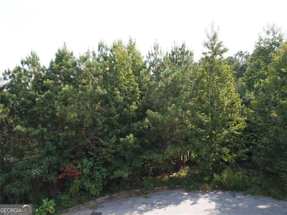 7722 Austin CT Winston, GA 30187